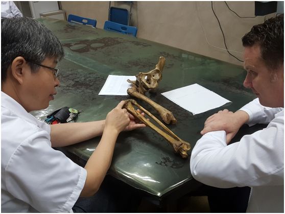 圖片關(guān)鍵詞