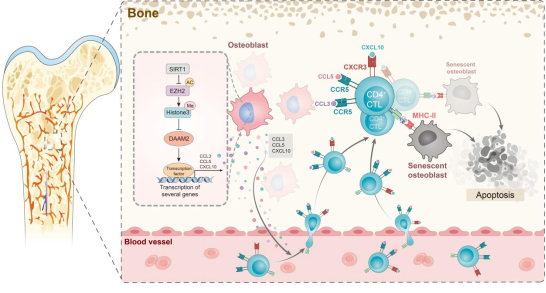圖片關(guān)鍵詞 圖片關(guān)鍵詞