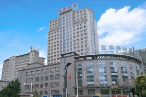 Sino-German High-level Hospital Management Conference