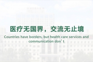 Countries have borders, but health care services and communication don’t