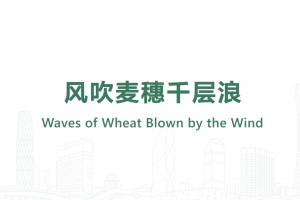 風(fēng)吹麥穗千層浪