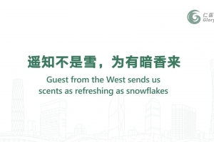 遙知不是雪，為有暗香來